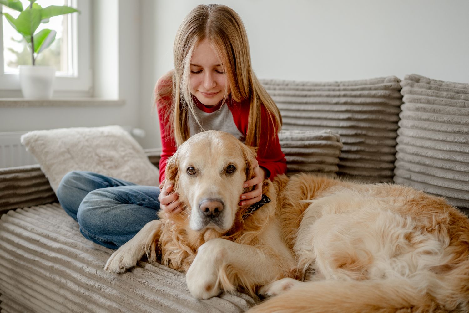 Having pets at home